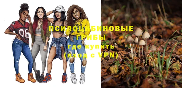 винт Майский
