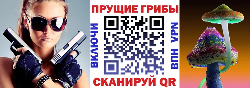 Псилоцибиновые грибы прущие грибы  маркетплейс телеграм  Нариманов  мега  